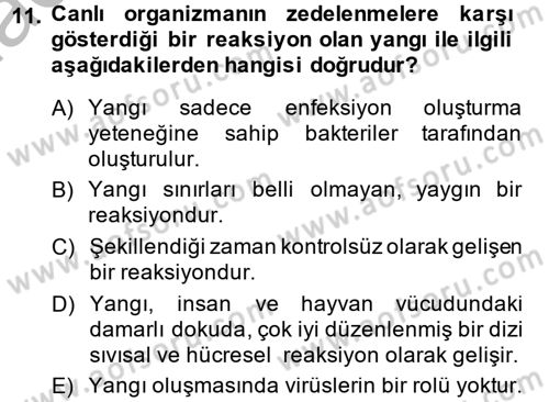 Temel Veteriner Patoloji Dersi 2014 - 2015 Yılı (Final) Dönem Sonu Sınav Soruları 11. Soru