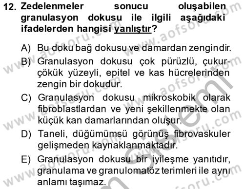 Temel Veteriner Patoloji Dersi 2014 - 2015 Yılı (Final) Dönem Sonu Sınav Soruları 12. Soru