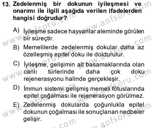 Temel Veteriner Patoloji Dersi 2014 - 2015 Yılı (Final) Dönem Sonu Sınav Soruları 13. Soru