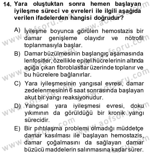 Temel Veteriner Patoloji Dersi 2014 - 2015 Yılı (Final) Dönem Sonu Sınav Soruları 14. Soru