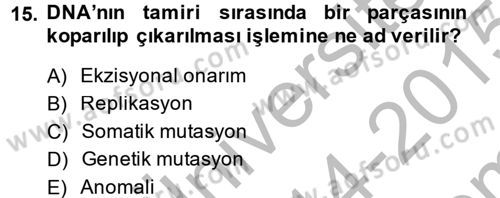 Temel Veteriner Patoloji Dersi 2014 - 2015 Yılı (Final) Dönem Sonu Sınav Soruları 15. Soru