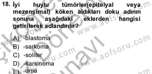 Temel Veteriner Patoloji Dersi 2014 - 2015 Yılı (Final) Dönem Sonu Sınav Soruları 18. Soru