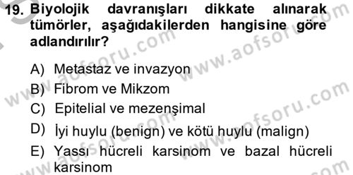 Temel Veteriner Patoloji Dersi 2014 - 2015 Yılı (Final) Dönem Sonu Sınav Soruları 19. Soru