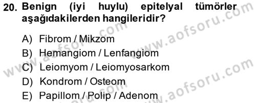 Temel Veteriner Patoloji Dersi 2014 - 2015 Yılı (Final) Dönem Sonu Sınav Soruları 20. Soru