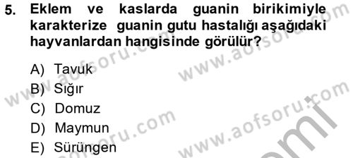 Temel Veteriner Patoloji Dersi 2014 - 2015 Yılı (Final) Dönem Sonu Sınav Soruları 5. Soru