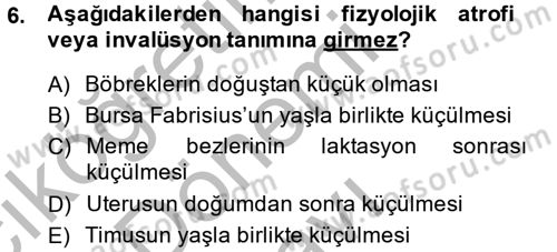 Temel Veteriner Patoloji Dersi 2014 - 2015 Yılı (Final) Dönem Sonu Sınav Soruları 6. Soru