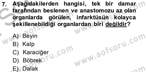 Temel Veteriner Patoloji Dersi 2014 - 2015 Yılı (Final) Dönem Sonu Sınav Soruları 7. Soru