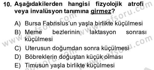 Temel Veteriner Patoloji Dersi 2014 - 2015 Yılı Tek Ders Sınav Soruları 10. Soru