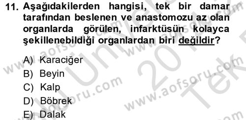 Temel Veteriner Patoloji Dersi 2014 - 2015 Yılı Tek Ders Sınav Soruları 11. Soru