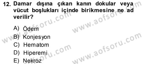 Temel Veteriner Patoloji Dersi 2014 - 2015 Yılı Tek Ders Sınav Soruları 12. Soru