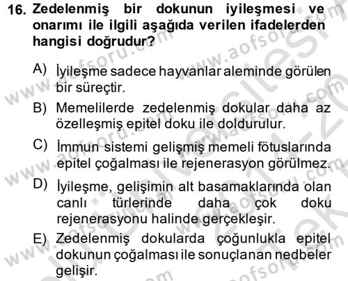 Temel Veteriner Patoloji Dersi 2014 - 2015 Yılı Tek Ders Sınav Soruları 16. Soru