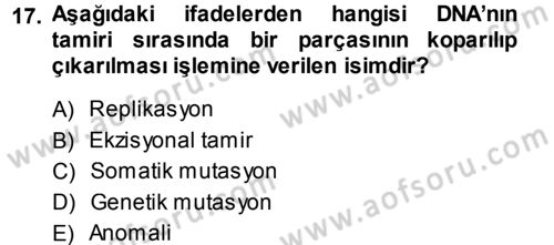 Temel Veteriner Patoloji Dersi 2014 - 2015 Yılı Tek Ders Sınav Soruları 17. Soru