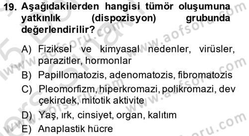 Temel Veteriner Patoloji Dersi 2014 - 2015 Yılı Tek Ders Sınav Soruları 19. Soru