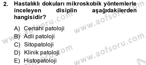 Temel Veteriner Patoloji Dersi 2014 - 2015 Yılı Tek Ders Sınav Soruları 2. Soru