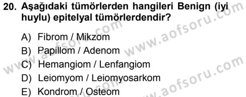Temel Veteriner Patoloji Dersi 2014 - 2015 Yılı Tek Ders Sınav Soruları 20. Soru