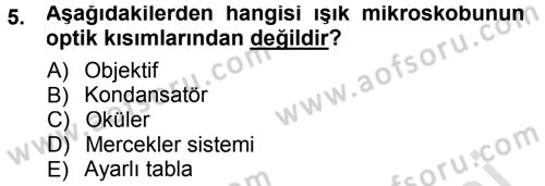 Temel Veteriner Patoloji Dersi 2014 - 2015 Yılı Tek Ders Sınav Soruları 5. Soru