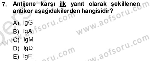 Temel Veteriner Patoloji Dersi 2014 - 2015 Yılı Tek Ders Sınav Soruları 7. Soru
