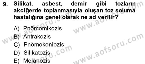 Temel Veteriner Patoloji Dersi 2014 - 2015 Yılı Tek Ders Sınav Soruları 9. Soru