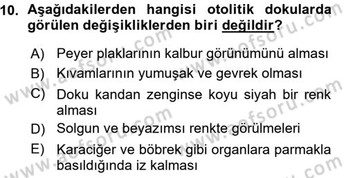 Temel Veteriner Patoloji Dersi 2015 - 2016 Yılı (Vize) Ara Sınav Soruları 10. Soru