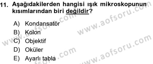 Temel Veteriner Patoloji Dersi 2015 - 2016 Yılı (Vize) Ara Sınav Soruları 11. Soru
