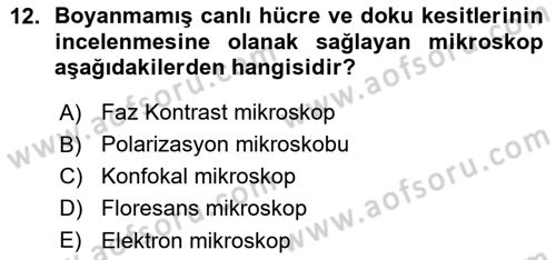 Temel Veteriner Patoloji Dersi 2015 - 2016 Yılı (Vize) Ara Sınav Soruları 12. Soru