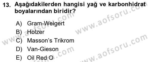 Temel Veteriner Patoloji Dersi 2015 - 2016 Yılı (Vize) Ara Sınav Soruları 13. Soru