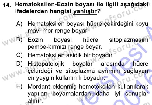 Temel Veteriner Patoloji Dersi 2015 - 2016 Yılı (Vize) Ara Sınav Soruları 14. Soru