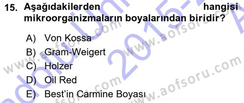 Temel Veteriner Patoloji Dersi 2015 - 2016 Yılı (Vize) Ara Sınav Soruları 15. Soru