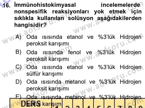 Temel Veteriner Patoloji Dersi 2015 - 2016 Yılı (Vize) Ara Sınav Soruları 16. Soru