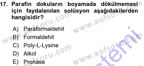 Temel Veteriner Patoloji Dersi 2015 - 2016 Yılı (Vize) Ara Sınav Soruları 17. Soru