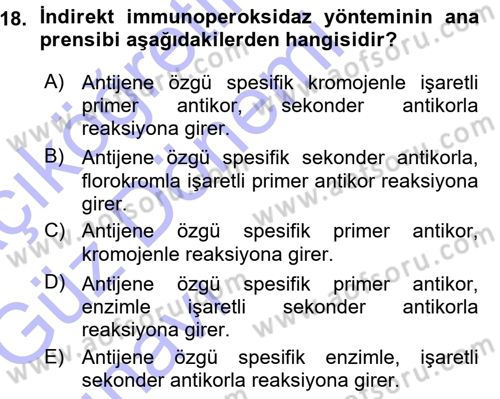 Temel Veteriner Patoloji Dersi 2015 - 2016 Yılı (Vize) Ara Sınav Soruları 18. Soru