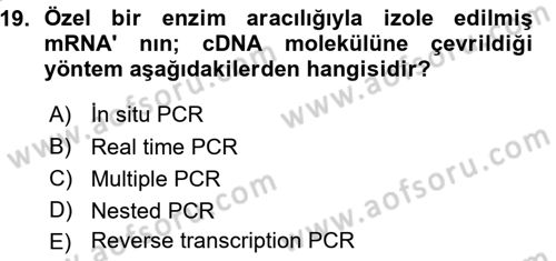 Temel Veteriner Patoloji Dersi 2015 - 2016 Yılı (Vize) Ara Sınav Soruları 19. Soru