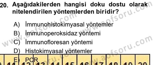 Temel Veteriner Patoloji Dersi 2015 - 2016 Yılı (Vize) Ara Sınav Soruları 20. Soru
