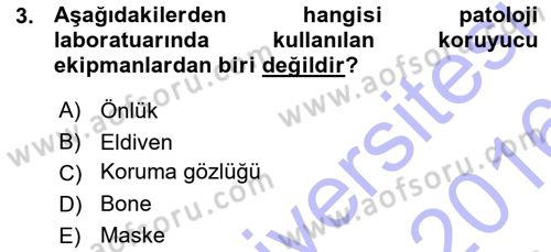 Temel Veteriner Patoloji Dersi Ara Sınavı Deneme Sınav Soruları 3. Soru