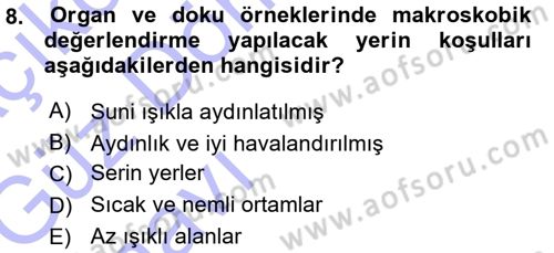 Temel Veteriner Patoloji Dersi 2015 - 2016 Yılı (Vize) Ara Sınav Soruları 8. Soru