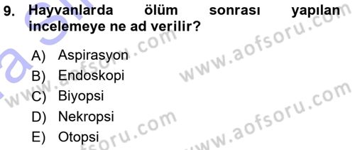 Temel Veteriner Patoloji Dersi 2015 - 2016 Yılı (Vize) Ara Sınav Soruları 9. Soru