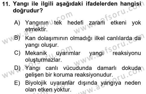Temel Veteriner Patoloji Dersi 2015 - 2016 Yılı (Final) Dönem Sonu Sınav Soruları 11. Soru