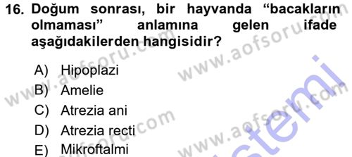 Temel Veteriner Patoloji Dersi 2015 - 2016 Yılı (Final) Dönem Sonu Sınav Soruları 16. Soru