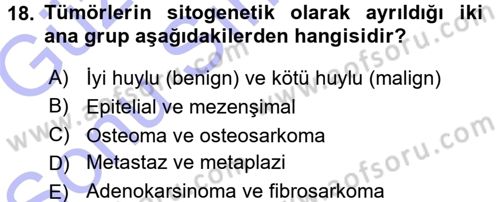 Temel Veteriner Patoloji Dersi 2015 - 2016 Yılı (Final) Dönem Sonu Sınav Soruları 18. Soru