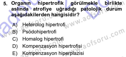 Temel Veteriner Patoloji Dersi 2015 - 2016 Yılı (Final) Dönem Sonu Sınav Soruları 5. Soru