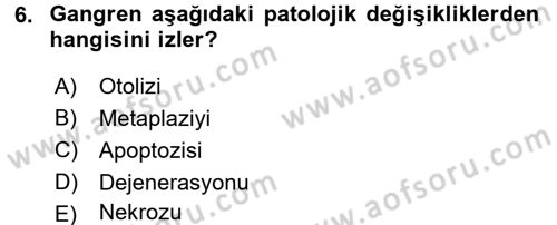 Temel Veteriner Patoloji Dersi 2015 - 2016 Yılı (Final) Dönem Sonu Sınav Soruları 6. Soru