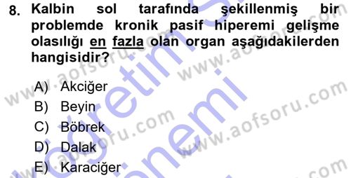Temel Veteriner Patoloji Dersi 2015 - 2016 Yılı (Final) Dönem Sonu Sınav Soruları 8. Soru