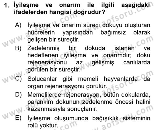 Temel Veteriner Patoloji Dersi 2015 - 2016 Yılı Tek Ders Sınav Soruları 1. Soru
