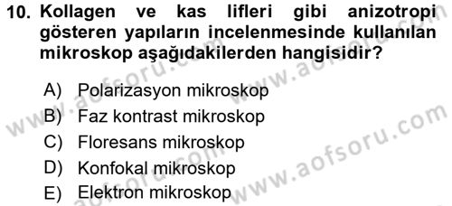 Temel Veteriner Patoloji Dersi 2015 - 2016 Yılı Tek Ders Sınav Soruları 10. Soru