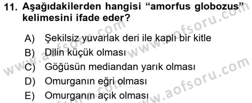 Temel Veteriner Patoloji Dersi 2015 - 2016 Yılı Tek Ders Sınav Soruları 11. Soru