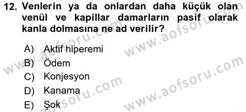 Temel Veteriner Patoloji Dersi 2015 - 2016 Yılı Tek Ders Sınav Soruları 12. Soru