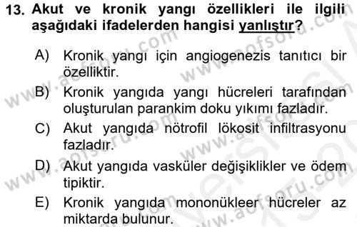 Temel Veteriner Patoloji Dersi 2015 - 2016 Yılı Tek Ders Sınav Soruları 13. Soru