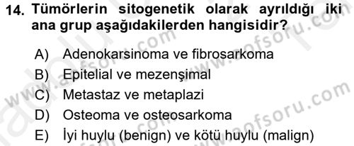 Temel Veteriner Patoloji Dersi 2015 - 2016 Yılı Tek Ders Sınav Soruları 14. Soru