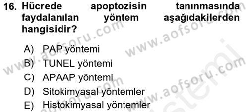 Temel Veteriner Patoloji Dersi 2015 - 2016 Yılı Tek Ders Sınav Soruları 16. Soru