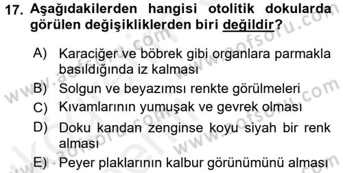 Temel Veteriner Patoloji Dersi 2015 - 2016 Yılı Tek Ders Sınav Soruları 17. Soru